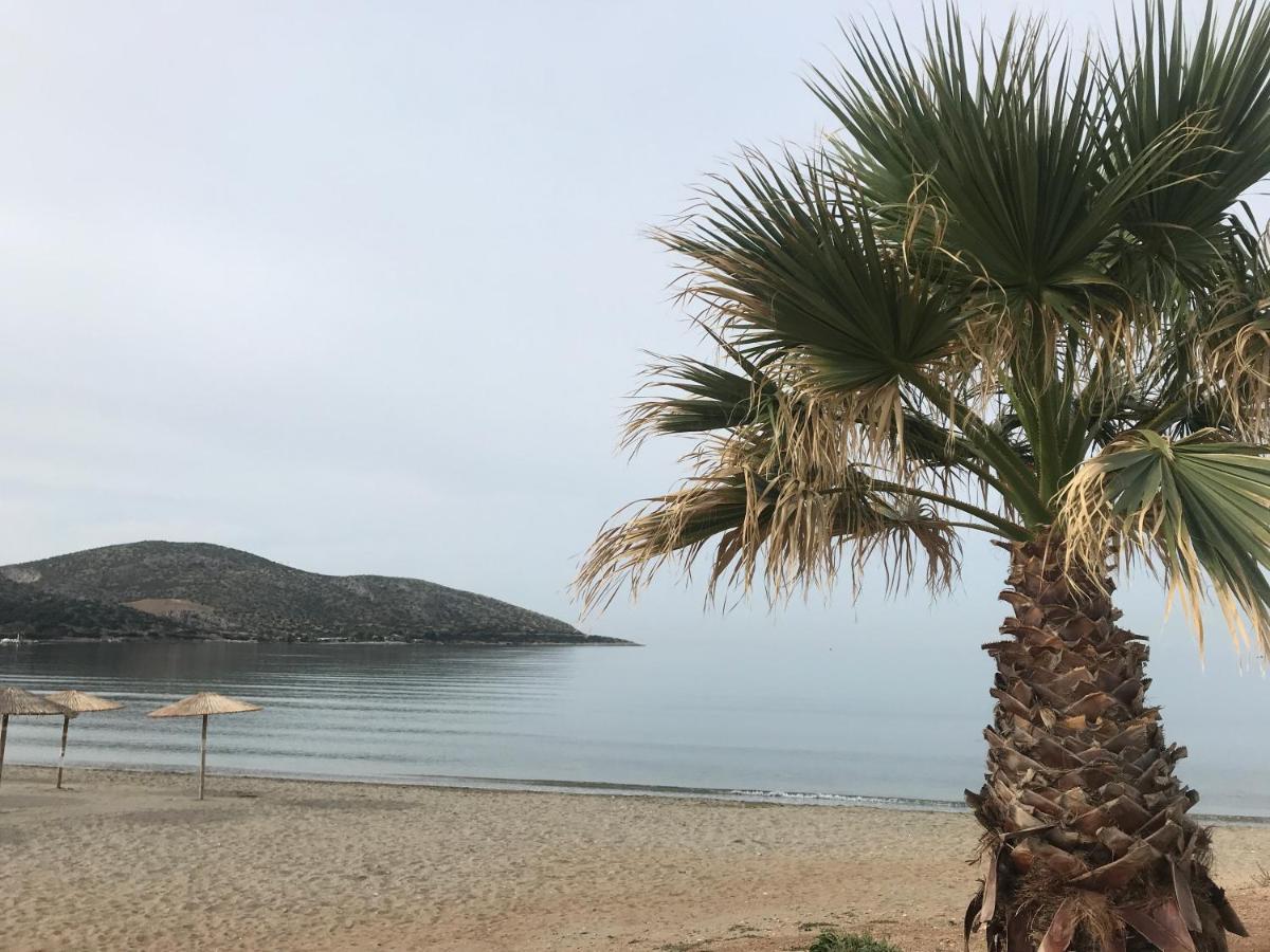 Cosy Studio 2 Minutes Walking From The Beach Anavyssos Exterior photo